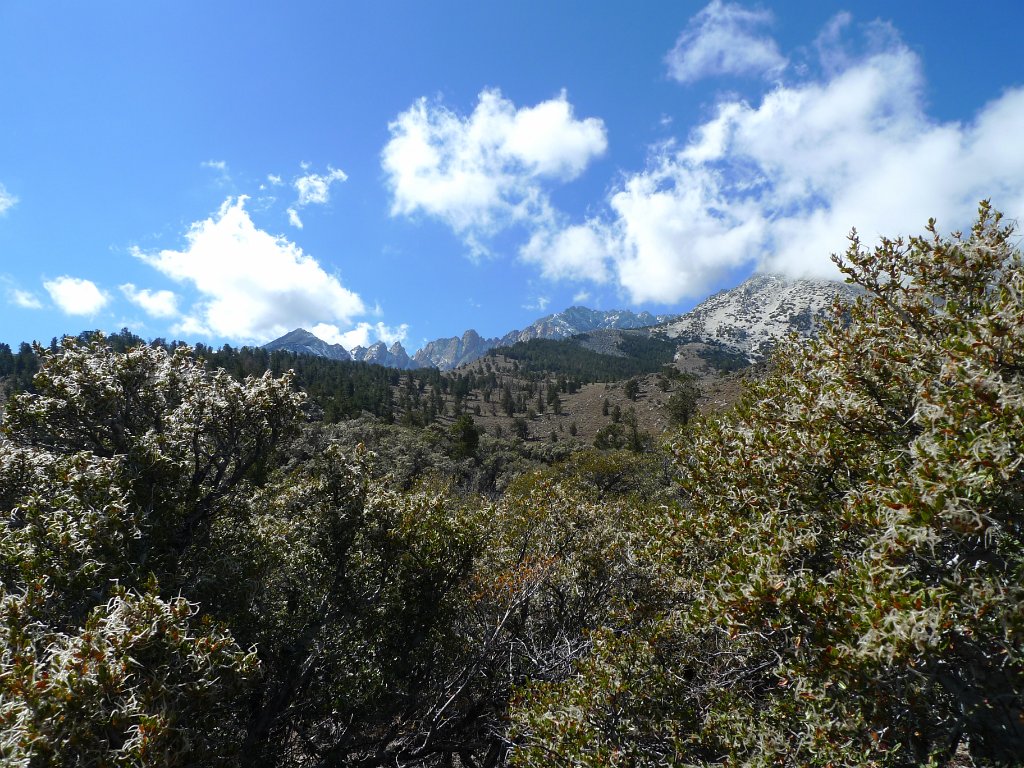California-Fall2010 592.JPG